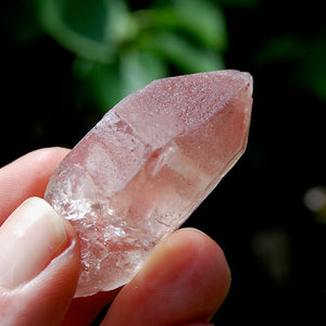 Strawberry Pink Scarlet Temple Lemurian Quartz Crystal Cluster Dreamsicle, Serra do Cabral, Brazil