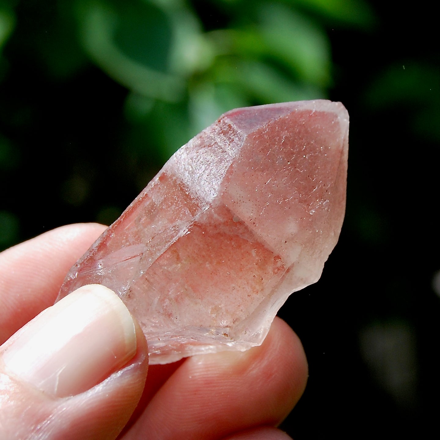 Strawberry Pink Scarlet Temple Lemurian Quartz Crystal Cluster Dreamsicle, Serra do Cabral, Brazil