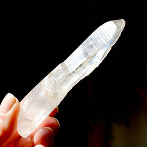 Colombian Lemurian Seed Crystal Tabby Laser Starbrary, Boyaca, Colombia