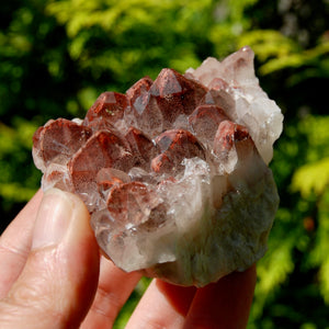 Phantom Pyramid Hematoid Quartz Crystal Cluster, Red Specular Hematite