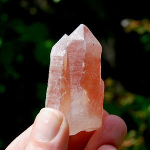 Tantric Twin Triplet Strawberry Pink Scarlet Temple Lemurian Quartz Crystal Dreamsicle, Serra do Cabral, Brazil