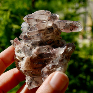 DT Floater Red Phantom Pyramid Hematoid Quartz Crystal Cluster, Specular Hematite, Zambia