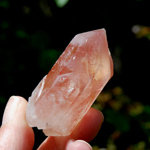 Tantric Twin Triplet Strawberry Pink Scarlet Temple Lemurian Quartz Crystal Dreamsicle, Serra do Cabral, Brazil