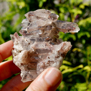 DT Floater Red Phantom Pyramid Hematoid Quartz Crystal Cluster, Specular Hematite, Zambia