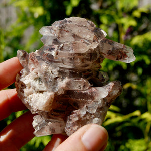 DT Floater Red Phantom Pyramid Hematoid Quartz Crystal Cluster, Specular Hematite, Zambia