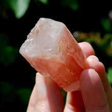 Load image into Gallery viewer, Tantric Twin Triplet Strawberry Pink Scarlet Temple Lemurian Quartz Crystal Dreamsicle, Serra do Cabral, Brazil
