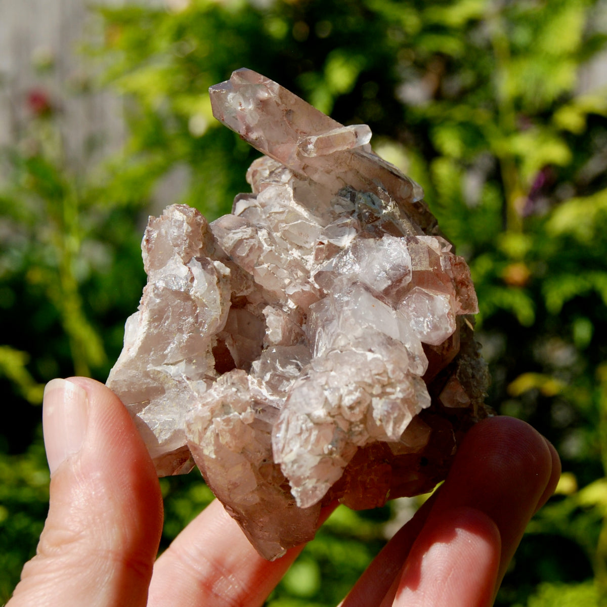DT Floater Red Phantom Pyramid Hematoid Quartz Crystal Cluster, Specular Hematite, Zambia