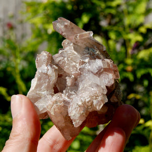 DT Floater Red Phantom Pyramid Hematoid Quartz Crystal Cluster, Specular Hematite, Zambia