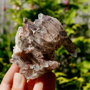 DT Floater Red Phantom Pyramid Hematoid Quartz Crystal Cluster, Specular Hematite, Zambia