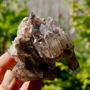 DT Floater Red Phantom Pyramid Hematoid Quartz Crystal Cluster, Specular Hematite, Zambia