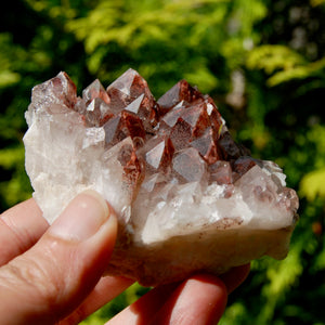 Phantom Pyramid Hematoid Quartz Crystal Cluster, Red Specular Hematite