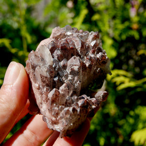 DT Floater Phantom Pyramid Hematoid Quartz Crystal Cluster, Specular Red Hematite