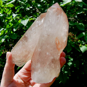 Record Keeper Soulmate Tantric Twin Pink Shadow Smoky Lemurian Seed Quartz Crystal Starbrary, Brazil