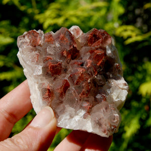 Phantom Pyramid Hematoid Quartz Crystal Cluster, Red Specular Hematite