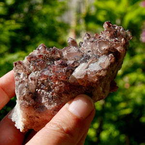 DT Floater Phantom Pyramid Hematoid Quartz Crystal Cluster, Specular Red Hematite