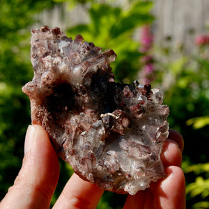 DT Floater Phantom Pyramid Hematoid Quartz Crystal Cluster, Specular Red Hematite