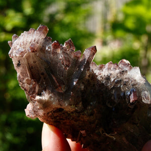 DT Floater Phantom Pyramid Hematoid Quartz Crystal Cluster, Specular Red Hematite