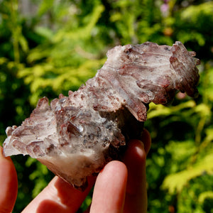 DT Floater Phantom Pyramid Hematoid Quartz Crystal Cluster, Specular Red Hematite