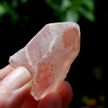 Load image into Gallery viewer, Strawberry Pink Scarlet Temple Lemurian Quartz Crystal Dreamsicle Starbrary
