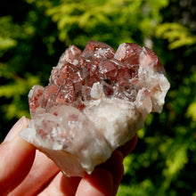 Load image into Gallery viewer, Phantom Pyramid Hematoid Quartz Crystal Cluster, Red Specular Hematite
