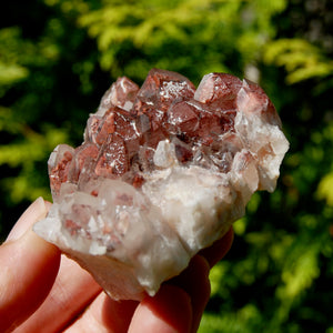 Phantom Pyramid Hematoid Quartz Crystal Cluster, Red Specular Hematite