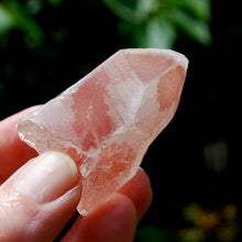 Load image into Gallery viewer, Strawberry Pink Scarlet Temple Lemurian Quartz Crystal Dreamsicle Starbrary
