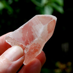 Strawberry Pink Scarlet Temple Lemurian Quartz Crystal Dreamsicle Starbrary