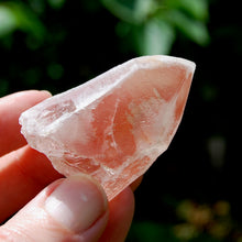 Load image into Gallery viewer, Strawberry Pink Scarlet Temple Lemurian Quartz Crystal Dreamsicle Starbrary
