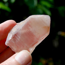 Load image into Gallery viewer, Strawberry Pink Scarlet Temple Lemurian Quartz Crystal Dreamsicle Starbrary
