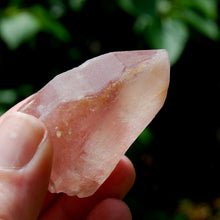 Load image into Gallery viewer, Strawberry Pink Scarlet Temple Lemurian Quartz Crystal Dreamsicle Starbrary
