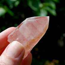 Load image into Gallery viewer, Strawberry Pink Scarlet Temple Lemurian Quartz Crystal Dreamsicle Starbrary
