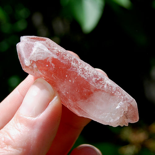 DT Tantric Twin Strawberry Pink Scarlet Temple Lemurian Quartz Crystal