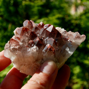 Phantom Pyramid Hematoid Quartz Crystal Cluster, Red Specular Hematite