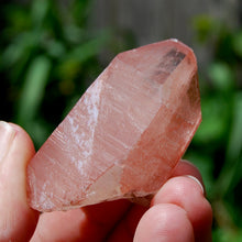 Load image into Gallery viewer, Tabby Strawberry Pink Lemurian Seed Quartz Crystal
