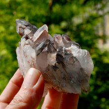 Load image into Gallery viewer, DT Floater Phantom Pyramid Hematoid Quartz Crystal Cluster, Specular Red Hematite
