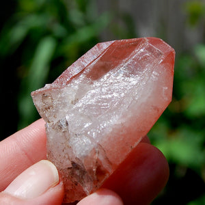 Tabby Strawberry Pink Lemurian Seed Quartz Crystal