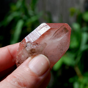 Tabby Strawberry Pink Lemurian Seed Quartz Crystal