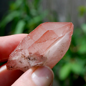 Tabby Strawberry Pink Lemurian Seed Quartz Crystal