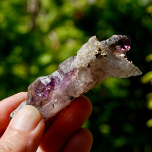 DT Smoky Fenster Amethyst Quartz Crystal Elestial Scepter, Specular Hematite Lepidocrocite Amethyst