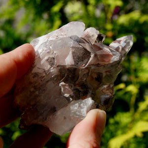 DT Floater Phantom Pyramid Hematoid Quartz Crystal Cluster, Specular Red Hematite