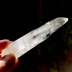 Colombian Lemurian Seed Crystal Tabby Laser Starbrary, Boyaca, Colombia