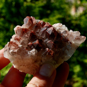 Phantom Pyramid Hematoid Quartz Crystal Cluster, Red Specular Hematite