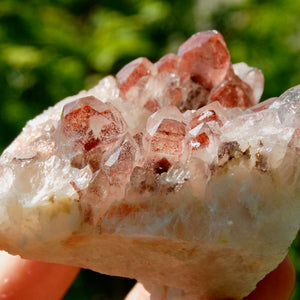 Phantom Pyramid Hematoid Quartz Crystal Cluster, Red Specular Hematite