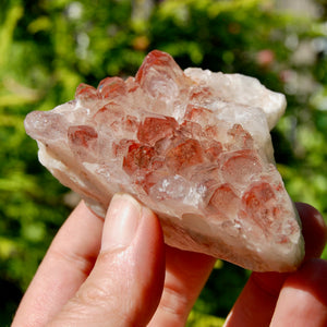 Phantom Pyramid Hematoid Quartz Crystal Cluster, Red Specular Hematite