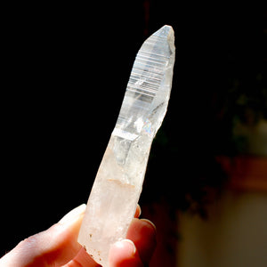 4.3in 62g Colombian Lemurian Seed Crystal Tabby Laser Starbrary, Boyaca, Colombia