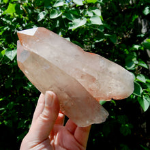 Load image into Gallery viewer, Record Keeper Soulmate Tantric Twin Pink Shadow Smoky Lemurian Seed Quartz Crystal Starbrary, Brazil
