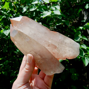 Record Keeper Soulmate Tantric Twin Pink Shadow Smoky Lemurian Seed Quartz Crystal Starbrary, Brazil