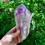 8in XL Raw Amethyst Dragon's Tooth Point, Phantom Amethyst, Brazil