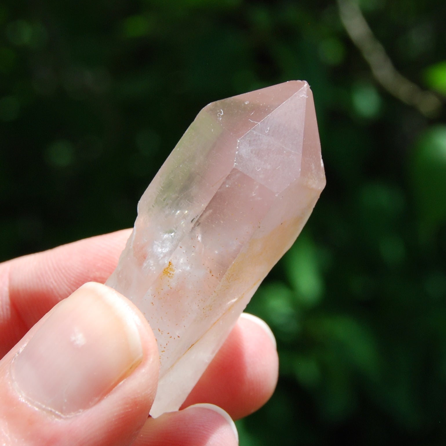 Isis Face Pink Lithium Lemurian Quartz Crystal Starbrary