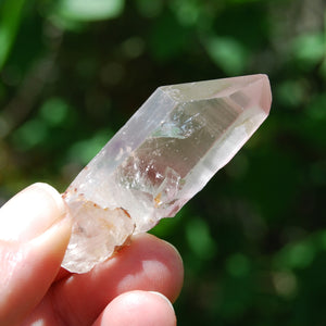 Pink Lithium Lemurian Quartz Crystal Starbrary